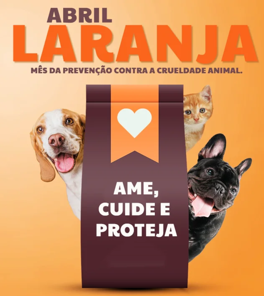 Abril Laranja: Itabira Intensifica Combate aos Maus-Tratos Animais