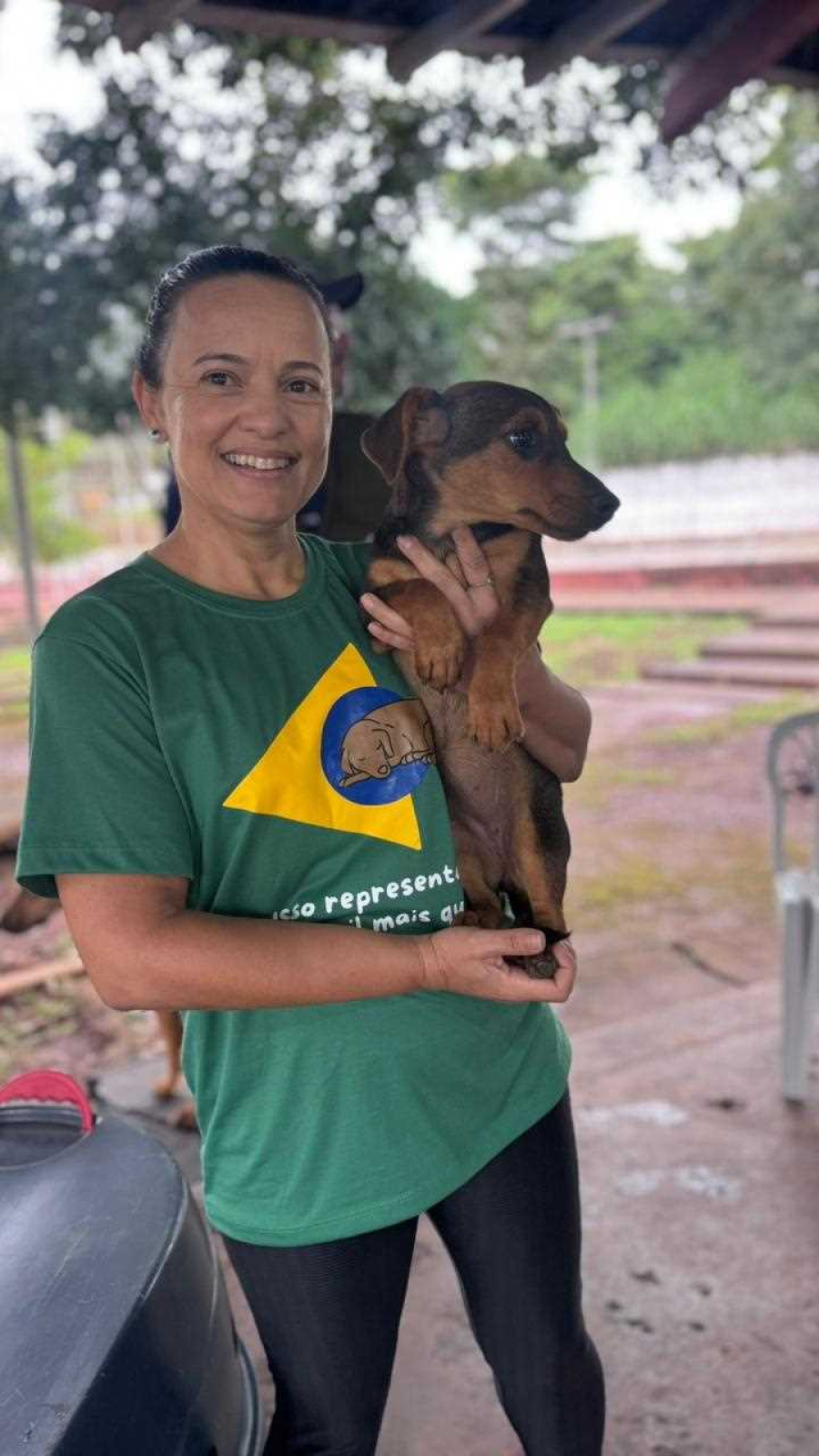 Itabira ultrapassa 5 mil castrações gratuitas de cães e gatos em 5 anos