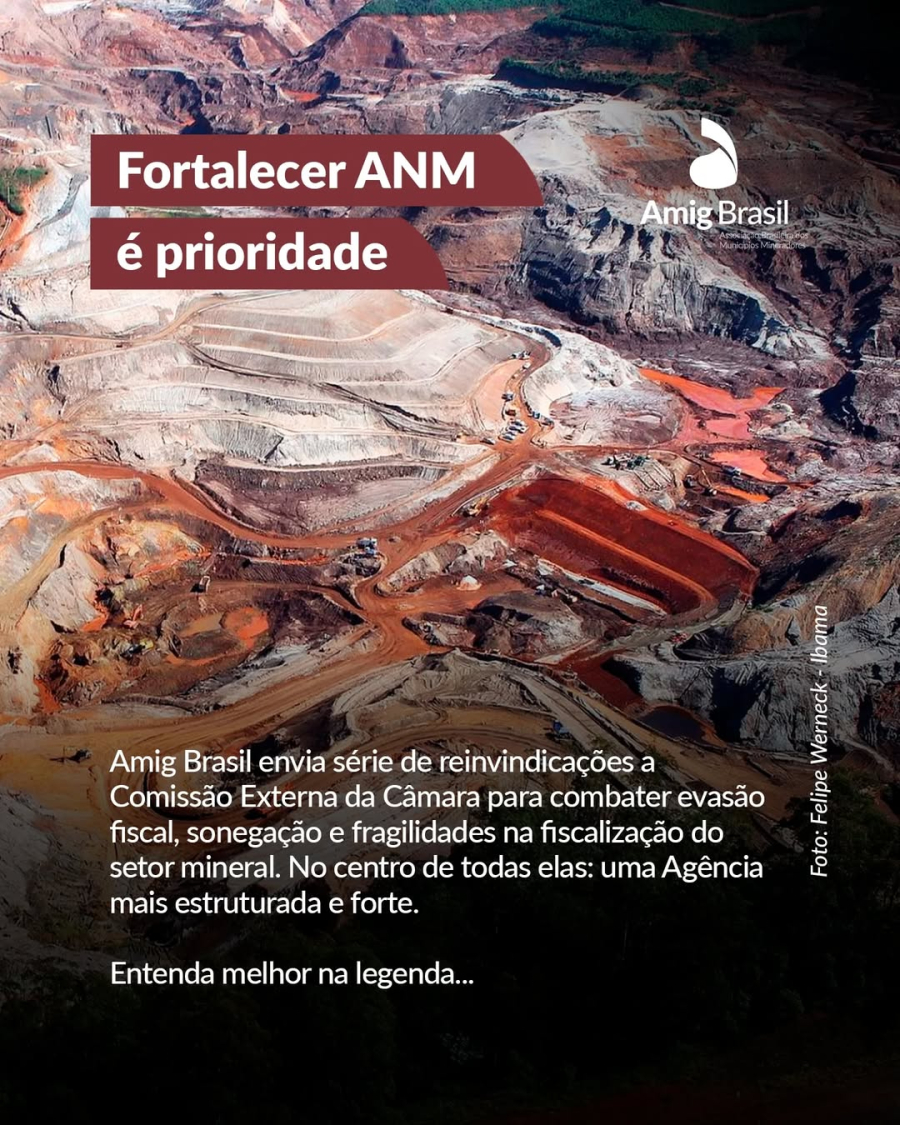 AMIG Brasil cobra fortalecimento da ANM e apresenta reivindicações contra a mineração ilegal à Câmara dos Deputados