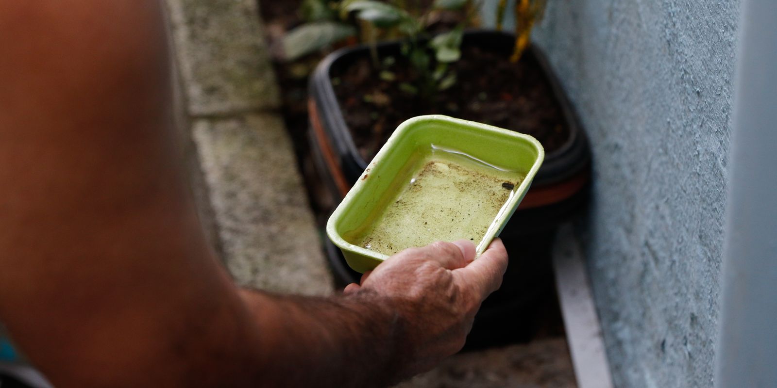 El Niño pode aumentar casos de chikungunya e dengue no Brasil